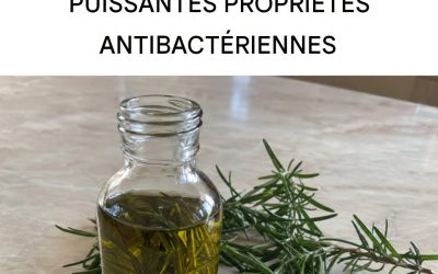 Recette à base d’huile de romarin : anti-inflammatoire, antibactérienne et hypocholestérolémiante