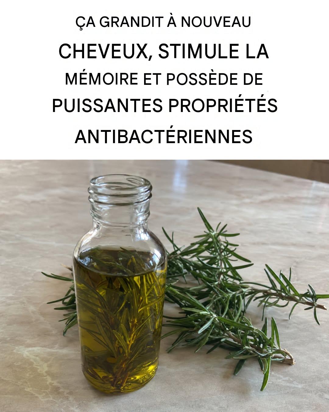 Recette à base d’huile de romarin : anti-inflammatoire, antibactérienne et hypocholestérolémiante