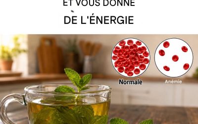 La tisane riche en fer qui combat l’anémie