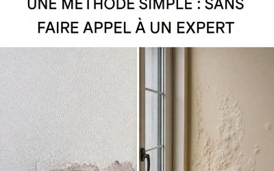 Remontées capillaires : la méthode de bricolage facile et abordable pour réparer définitivement vos murs