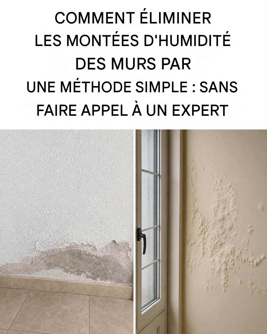 Remontées capillaires : la méthode de bricolage facile et abordable pour réparer définitivement vos murs