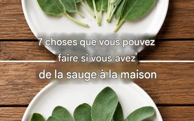 7 choses que vous pouvez faire si vous avez de la sauge à la maison