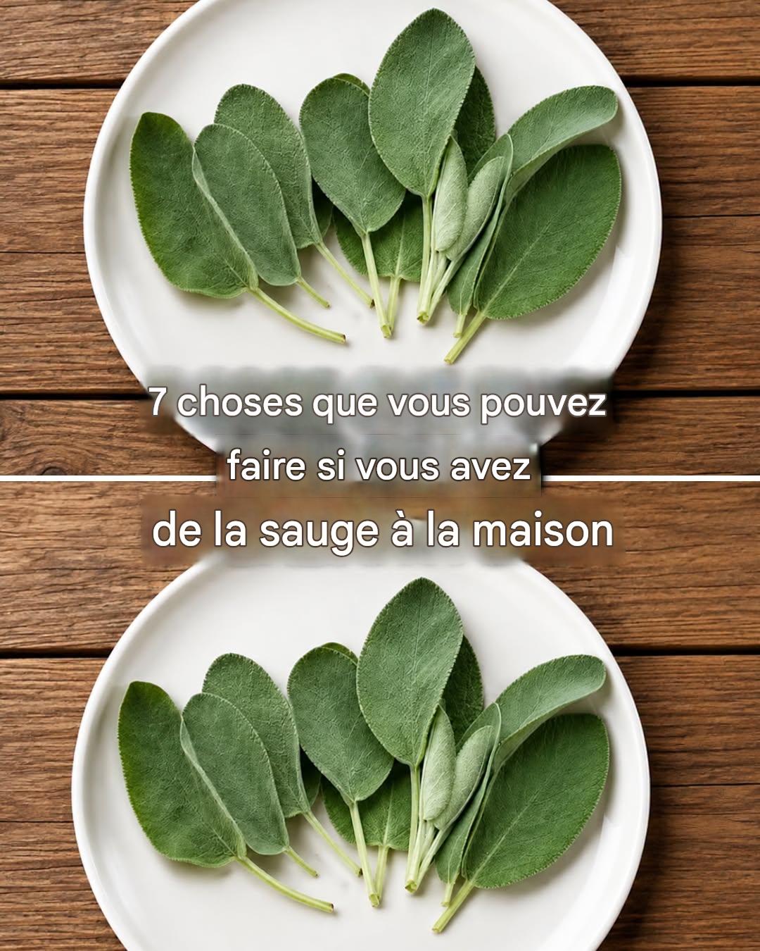 7 choses que vous pouvez faire si vous avez de la sauge à la maison