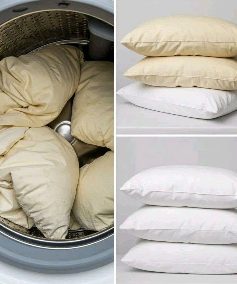 Comment laver des oreillers jaunis : 3 astuces pour les garder blancs et comme neufs