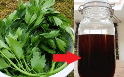 Assaisonnement liquide maison à base de souci médicinal : Une fois que vous aurez cette vieille RECETTE, vous n’aurez plus besoin d’aucun autre assaisonnement !