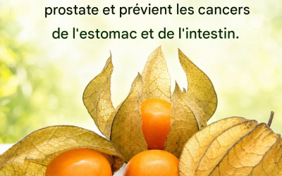 Ce petit fruit est un véritable trésor : il contribue à la guérison de la prostate et prévient les cancers de l’estomac et des intestins.