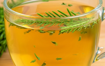 🌿✨Prêle des champs (Equisetum arvense) : 15 bienfaits et utilisations sans danger🍃💚