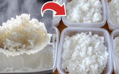 Comment bien conserver le riz : les pièges à éviter pour le garder frais longtemps