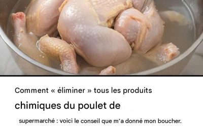 Comment éliminer les produits chimiques du poulet de supermarché : Confessions d’un employé d’abattoir