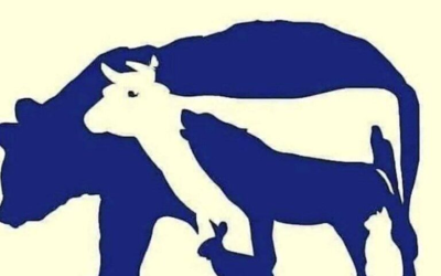 Pouvez-vous trouver les 10 animaux sur la photo ?