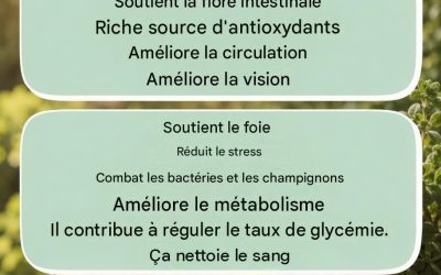 Tisane d’origan : bienfaits et préparation (20 bienfaits potentiels pour le bien-être)
