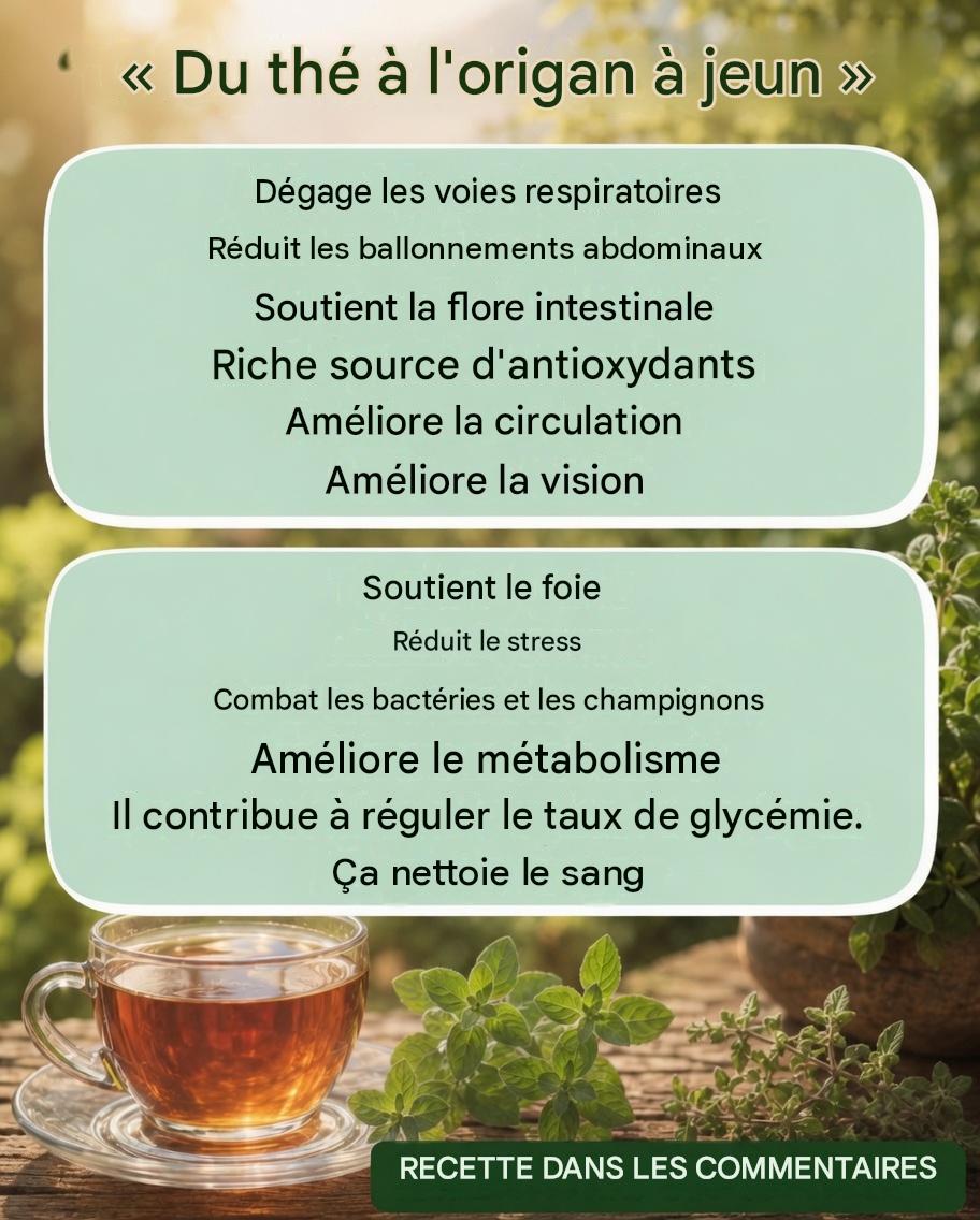 Tisane d’origan : bienfaits et préparation (20 bienfaits potentiels pour le bien-être)