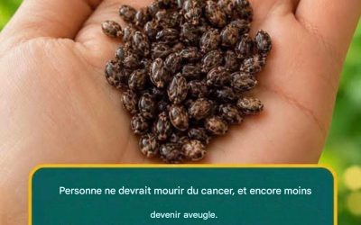 Graines de chia : petites, économiques et riches en nutriments