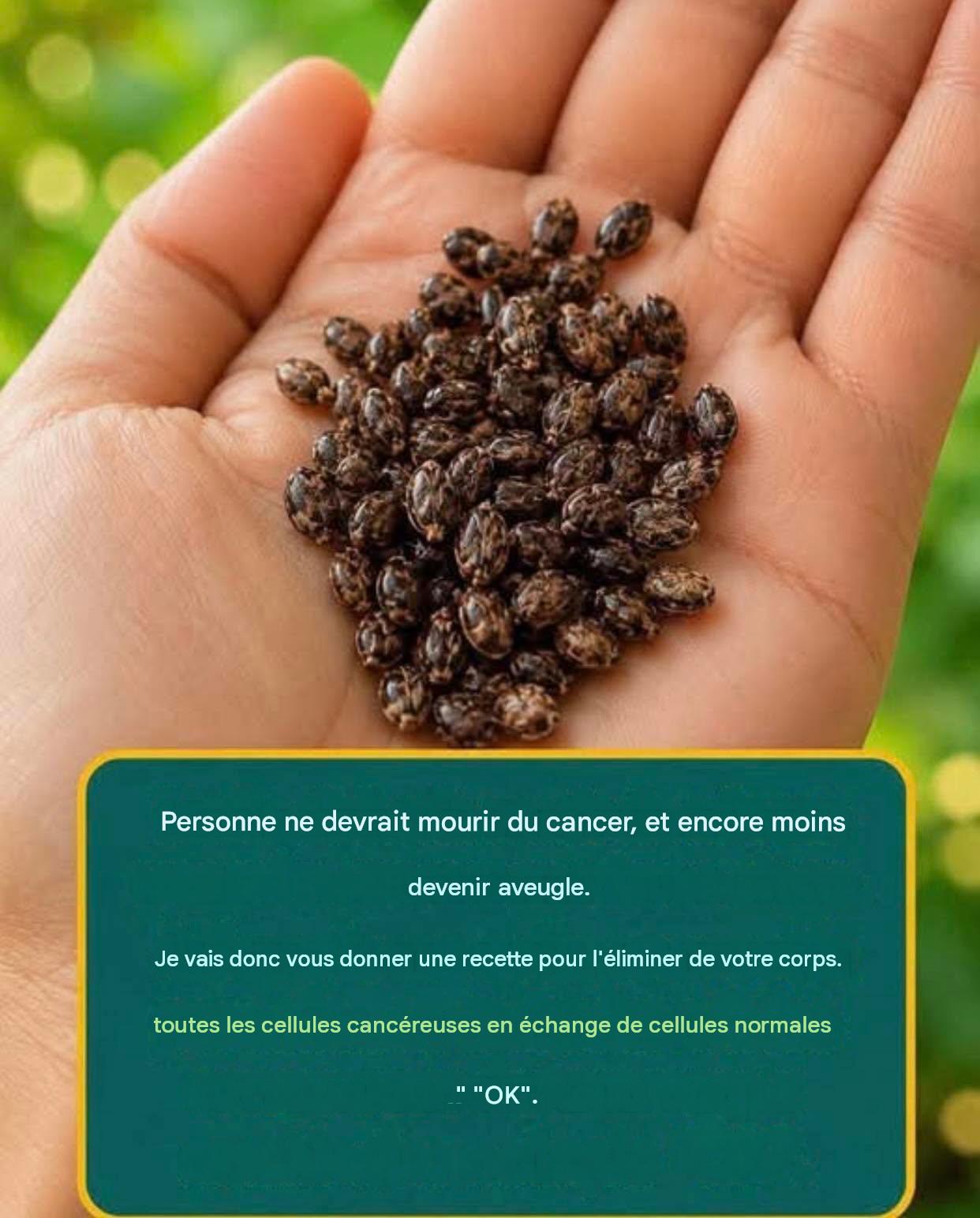 Graines de chia : petites, économiques et riches en nutriments