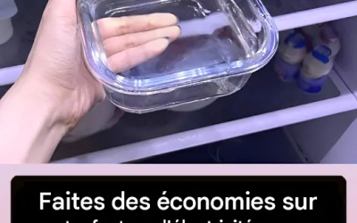 Optimisez vos économies sur votre facture d’électricité grâce à une astuce simple pour votre réfrigérateur.