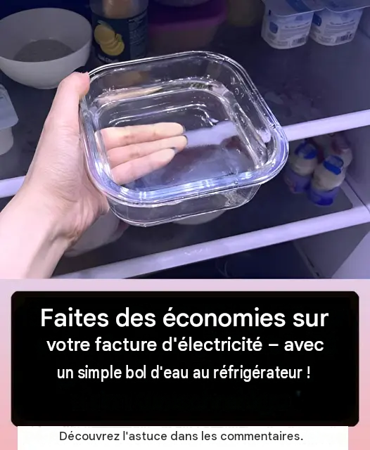 Optimisez vos économies sur votre facture d’électricité grâce à une astuce simple pour votre réfrigérateur.
